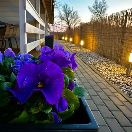 Nad Rozlewiskiem אכסניה *