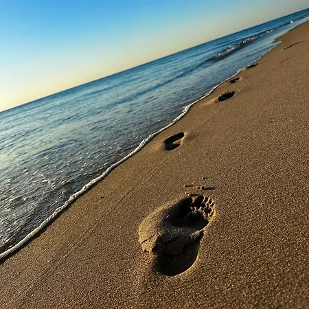 Nad Rozlewiskiem אכסניה