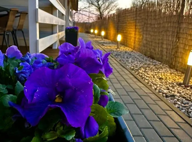 Nad Rozlewiskiem ロッジ *