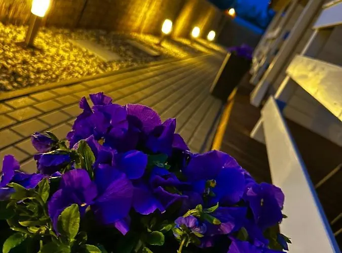 Nad Rozlewiskiem ロッジ