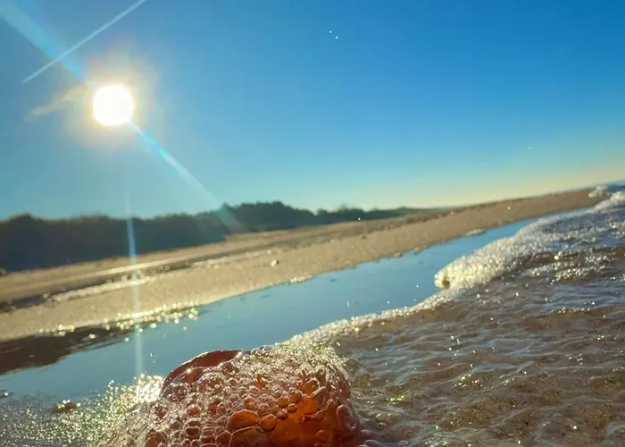 ロッジ Nad Rozlewiskiem